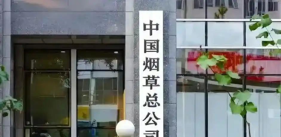 萨卡：英超夺冠助英格兰征战世界杯